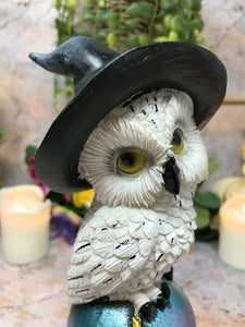 Comical Mystical Owl Sculpture Figurine Home Decoration Statue Owls Collectables