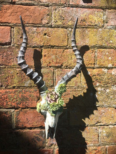 Floral Vintage Style Antelope Skull Wall Plaque Kudu Horns Animal Skulls Range-OsirisTradingUK