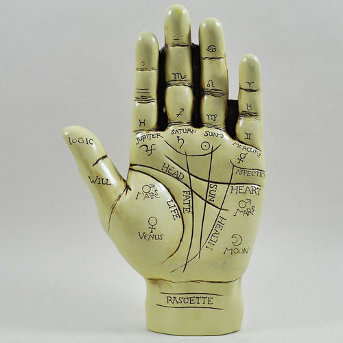 Large Palmistry Hand Sculpture Chiromancy Fortune Telling Chirology Palm Reading-OsirisTradingUK