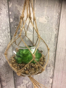 Artificial Hanging Glass Planter Succulent Cactus Plant Home Decor Cacti-OsirisTradingUK