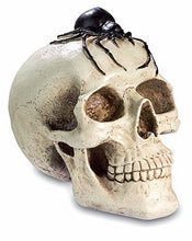 Load image into Gallery viewer, Large Gothic Spider Skull Arachnid Money Box Statue Sculpture Ornament 20 cm-OsirisTradingUK
