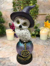 Load image into Gallery viewer, Comical Mystical Owl Sculpture Figurine Home Decoration Statue Owls Collectables
