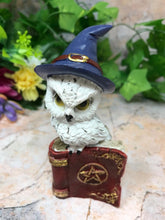 Load image into Gallery viewer, Comical Owl Resting on Pentagram Spell Book Figurine Statue Owls Collectables
