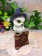 Load image into Gallery viewer, Comical Owl Resting on Pentagram Spell Book Figurine Statue Owls Collectables
