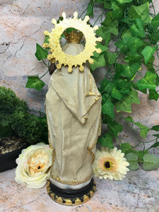 Our Lady of Mount Carmel Virgin Mary Sculpture Statue Religious Ornament-OsirisTradingUK