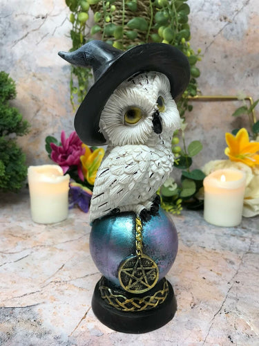 Comical Mystical Owl Sculpture Figurine Home Decoration Statue Owls Collectables-OsirisTradingUK