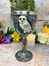 Load image into Gallery viewer, Wise Owl Goblet Chalice Gothic Decor Owls Collection Medieval Style Ornament
