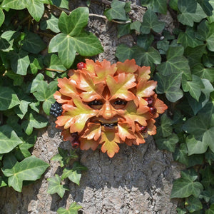 Hawthorn Man Weatherproof Garden Wall Plaque Pagan Decor Tree Face
