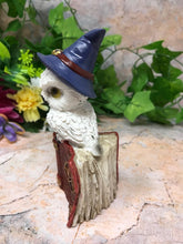 Load image into Gallery viewer, Comical Owl Resting on Pentagram Spell Book Figurine Statue Owls Collectables
