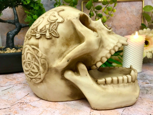 Celtic Skull Sculpture Figurine Gothic Horror Ornament Figure Decoration Gift-OsirisTradingUK