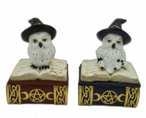 Pair of Owls Witches Trinket Box Magical Decor Altar Decorations Wicca Pagan-OsirisTradingUK