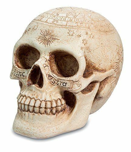 Astrology Symbols Skeleton Skull Head Home Office Desk Engraved Statue Ornament