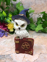 Load image into Gallery viewer, Comical Owl Resting on Pentagram Spell Book Figurine Statue Owls Collectables

