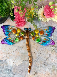 Metal Colourful Dragonfly Indoor Bathroom Outdoor Garden Art Wall Sculptures-OsirisTradingUK