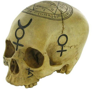 Witchcraft Skull Pagan Wiccan Sculpture Ornament Gothic Decor-OsirisTradingUK