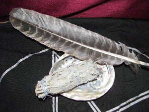 White Sage Abalone Shell Feather Smudge Smudging Space Clearing Aura Cleansing