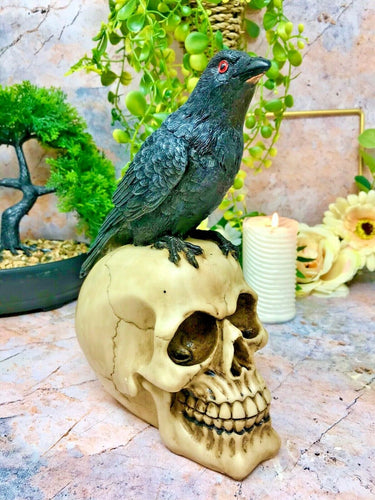 Raven on Skull Sculpture Figurine Gothic Horror Ornament Figure Decoration Gift-OsirisTradingUK