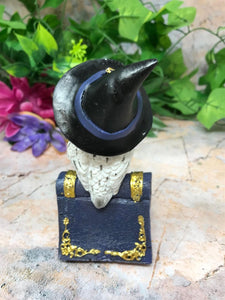 Comical Owl Resting on Pentagram Spell Book Figurine Statue Owls Collectables-OsirisTradingUK