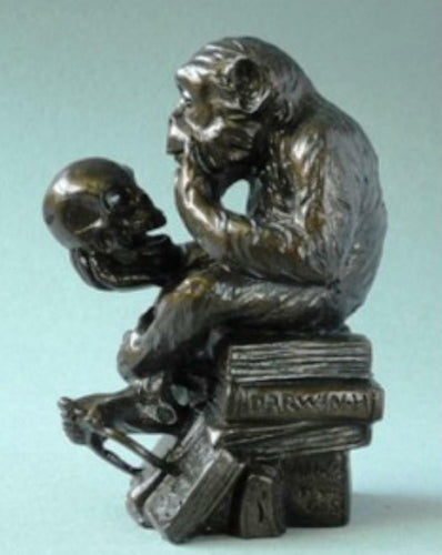 Pocket Art Museum Reproduction Sculpture Monkey with Skull Darwin-OsirisTradingUK