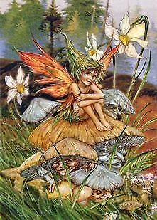 Mushroom Fairy by Briar - A4 Art Print Mounted on White A3 Card