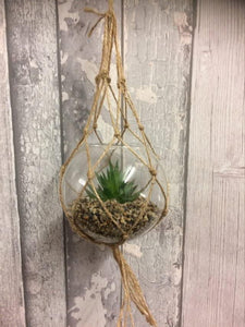 Artificial Hanging Glass Planter Succulent Cactus Plant Home Decor Cacti-OsirisTradingUK