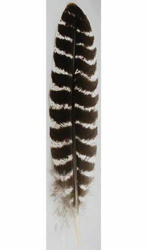 Barred Wing Smudging Feather Smudge Pagan Wiccan