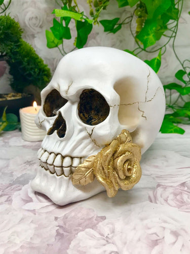 Novelty Skull with Gold Rose Ornament Figure Skulls Collection Sculpture Gothic-OsirisTradingUK