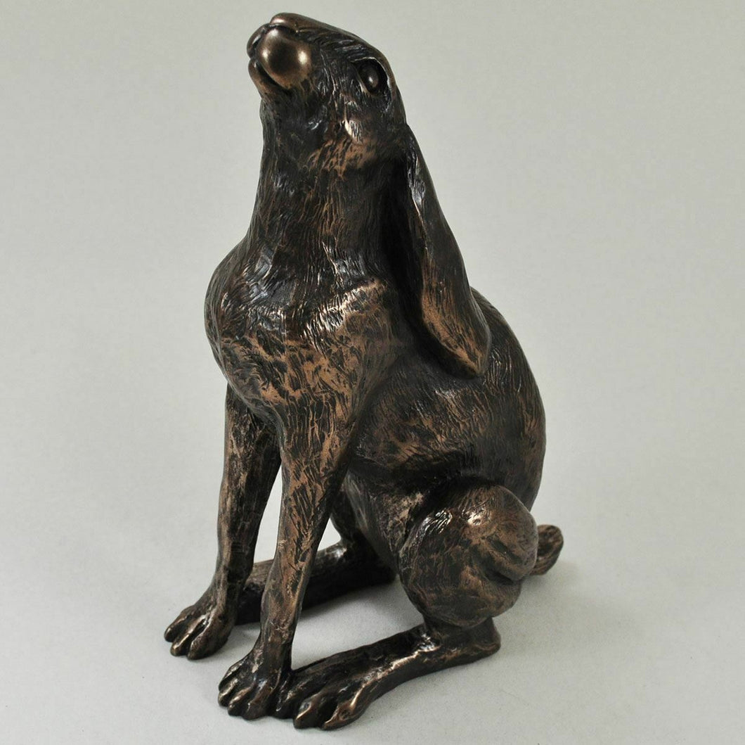 Bronze Effect Hare Statue Moon Daisy Sculpture Hares Gifts Figurines Moon Gazing