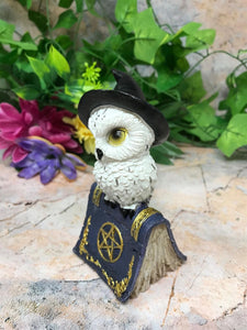 Comical Owl Resting on Pentagram Spell Book Figurine Statue Owls Collectables-OsirisTradingUK