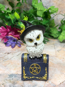 Comical Owl Resting on Pentagram Spell Book Figurine Statue Owls Collectables-OsirisTradingUK