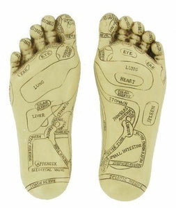 Reflexology Feet Zone Therapy Alternative Medicine Sculpture 22.5 cm